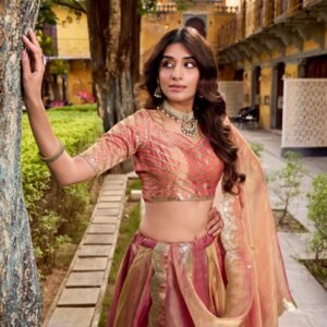 the flowing silhouette, delicate embroidery, and ethereal dupatta come together to create a look that feels effortlessly royal