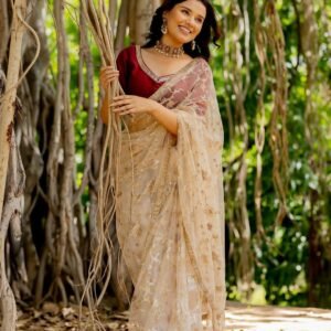 pure soft mono net saree with embroidery sequins work and embroidery work border and glass pipe border for blouse