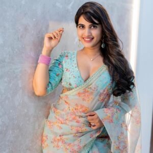 georgette saree with digital print with embroidery work border