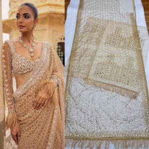 embroidery work saree with heavy embroidery front & back multy & sequins work