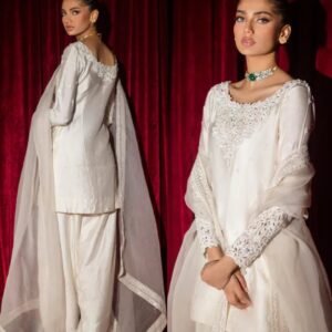 presenting designer bollywood style salwar suit