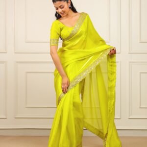 presenting you most beautiful seqwance saree collection*