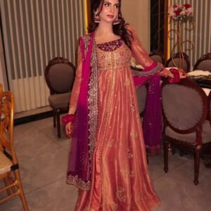new designer anarkali gown